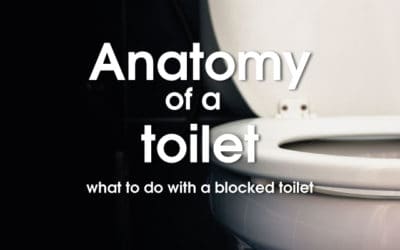 Anatomy of a blocked toilet