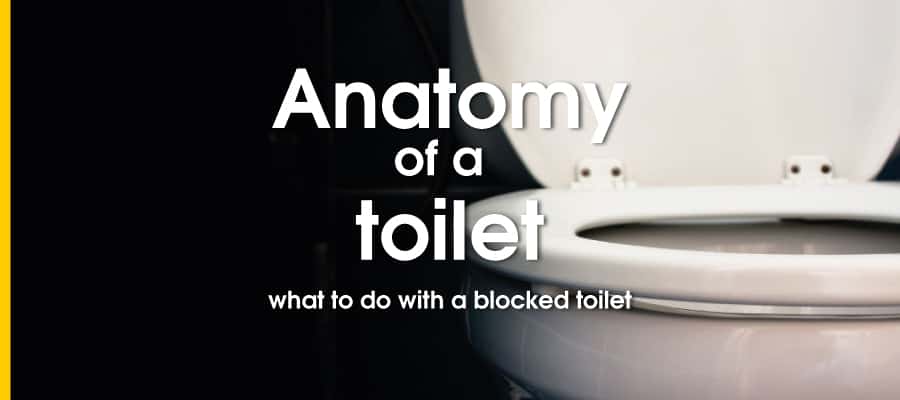 Anatomy of a blocked toilet