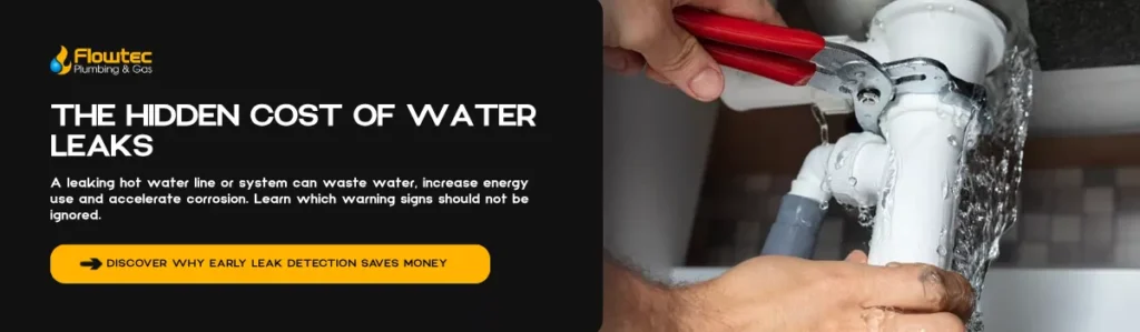 Continuous Flow Gas Hot Water Systems